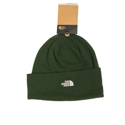 Gorro The North Face Norm Beanie Verde